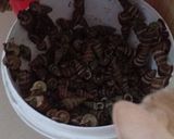 Foto langkah ke 1 dari resep Gulai keong nenek.