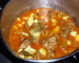 A picture of step 10 of Spicy Lamb and Potato Stew.