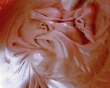 Foto langkah ke 2 dari resep Roll Cake Cokelat.