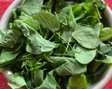 A picture of step 1 of Kuler/Koinar Saag.