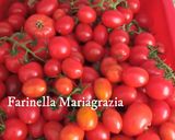 Foto del passaggio 3 della ricetta Salsa di ciliegino e cuore di bue a km zero fatta in casa 🏡👩🍳❤️
