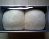 A picture of step 7 of Easy Natural Leaven Loaf.