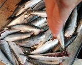 Foto del paso 2 de la receta: Sardinas en escabeche