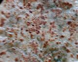 A picture of step 5 of Broccoli paratha.