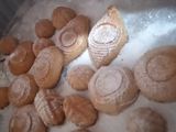 معمول