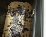 Foto del paso 3 de la receta: Bizcocho de Naranja