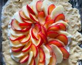 Ricottás-áfonyás-ringlószilvás gyümölcstorta recept fázis 4 fotója