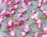 Salt-Preserved Sakura Blossoms