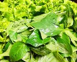Hình bước làm 1 của món Bò Bía Chay
