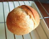A picture of step 8 of Introduction to Hard Bread - Small French Rolls.