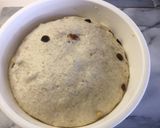 Foto del passaggio 4 della ricetta Pane alle nocciole, noci pecan e uvetta