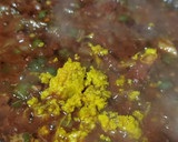 Foto del paso 4 de la receta: Pollo guisado con tomate y naranja