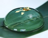 A picture of step 6 of Water Drop Shingen Mochi.