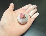 A picture of step 10 of Small Sakura Mochi.