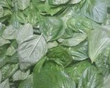 A picture of step 1 of Pesto.