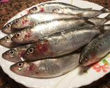 Foto del paso 1 de la receta: Sardinas en salazón marinadas