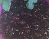 Foto del paso 1 de la receta: Helado De Queso Crema Y Moras