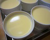 A picture of step 14 of Gelatin Custard Pudding That Children Love.
