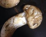 A picture of step 2 of The Taste of Fall--Matsutake Mushroom Rice.