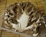 A picture of step 5 of Maitake Broth - Good For Easy Weight Loss.