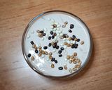 Foto del paso 6 de la receta: Mousse de chocolate blanco rápida fit