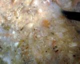 A picture of step 12 of Fried Chicken Soup for your soul family ;).