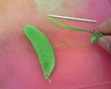 A picture of step 3 of How to de-String Sugar Snap Peas.