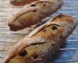 A picture of step 14 of Pain de Seigle aux Fruits Secs (Fruit-Filled Rye Bread).