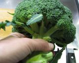A picture of step 7 of How to Boil Broccoli.