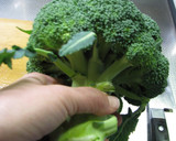 A picture of step 7 of How to Boil Broccoli.