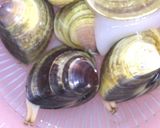 A picture of step 11 of A Surefire Way To De-Sand Manila Clams.