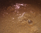 Foto del paso 1 de la receta: Roles de canela