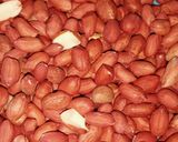 भुनी हुई मूंगफली(bhuni hui moongfali recipe in hindi) रेसिपी चरण 1 फोटो