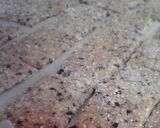 A picture of step 5 of Crunchy Macrobiotic Sesame and Okara Crackers.