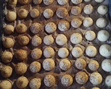 Foto del paso 15 de la receta: 🎂 Tarta de galletas 🍪 y natillas de chocolate 🍫