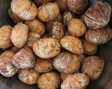 A picture of step 1 of Chestnuts Simmered in Japanese Sake.
