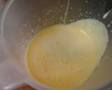 Irmgards Lemon/orange & Coconut Icecream recipe step 8 photo