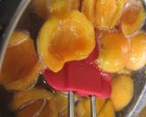 A picture of step 5 of Early Summer Loquat Jello.