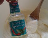 A picture of step 5 of Vickys St Patricks Fudge - Grasshopper Pie Style, GF DF EF SF NF.