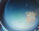 A picture of step 1 of Protein rich masala dosa without potato.