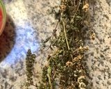 Une image de l'étape 6 de Croquettes 🌶de sardines 🐟aux herbes 🌿 de Provence🌱🍃.