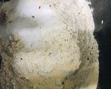 Foto del paso 3 de la receta: Pan integral con semillas y poco aceite