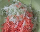 Foto langkah ke 1 dari resep Pempek Dos Labu Wortel Telur.