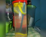 Foto langkah ke 2 dari resep Infused Water.