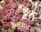Mushroom meat gravy recipe step 2 photo