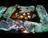 semi-grilled pork steak recipe step 4 photo