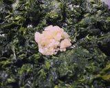 Foto del paso 1 de la receta: Fideos con espinacas y 3 quesos