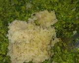 Green Peas Matar Parathas recipe step 6 photo