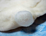 A picture of step 6 of My Family's Basic Bread.