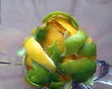 A picture of step 1 of Vickys Agave Lemon-Limeade, GF DF EF SF NF.